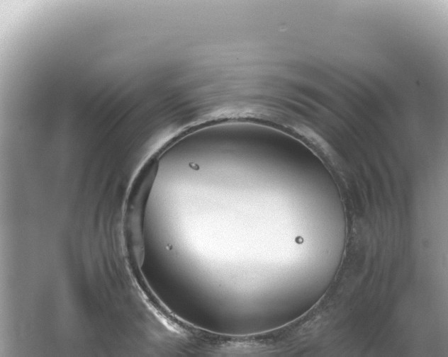 X0000062150894200512121304