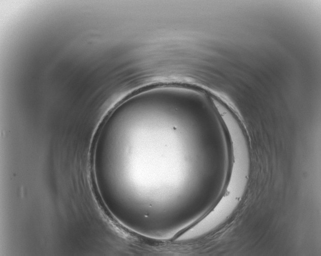 X0000062150895200512121304