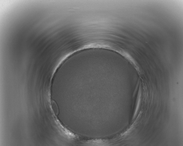 X0000062150896200512121304