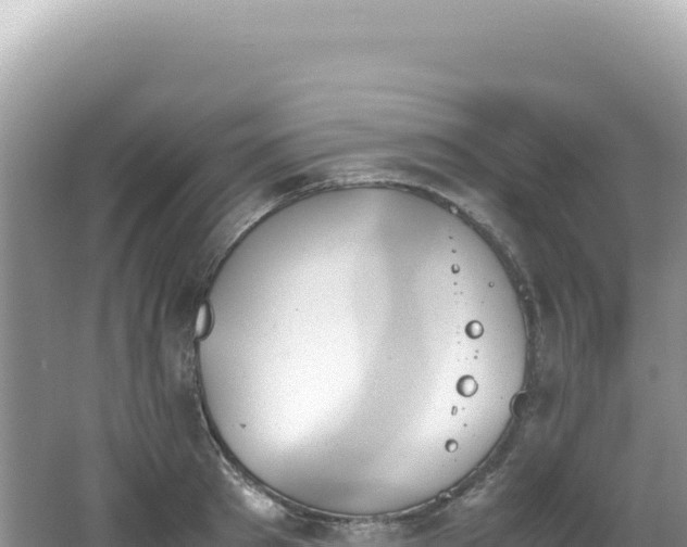 X0000062150897200512121304