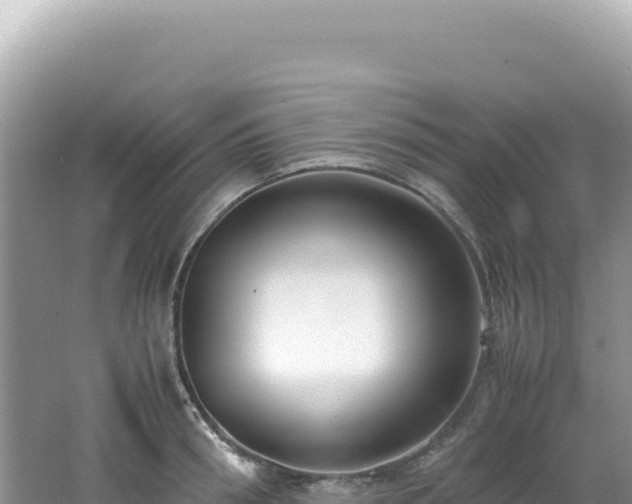 X0000062150898200512121304