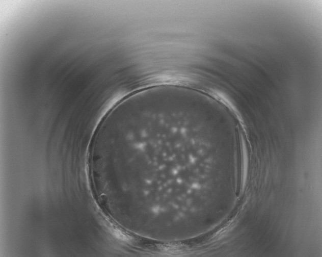 X0000062150899200512121304