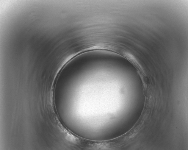 X0000062150900200512121304