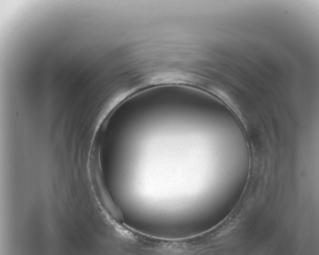 X0000062150901200512121304