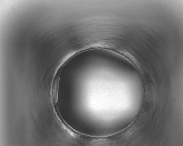 X0000062150902200512121304