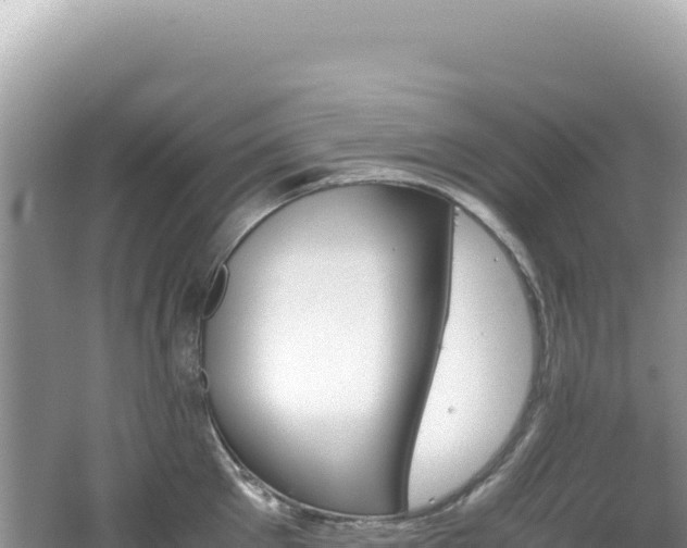 X0000062150905200512121304