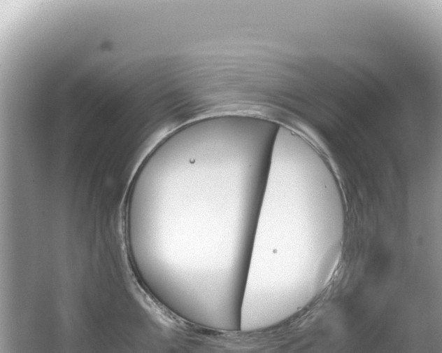 X0000062150907200512121304