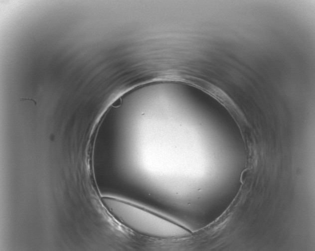 X0000062150908200512121304