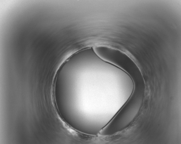 X0000062150909200512121304