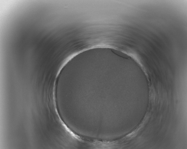 X0000062150910200512121304