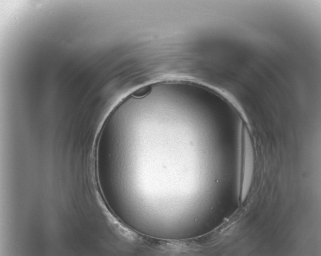 X0000062150911200512121304