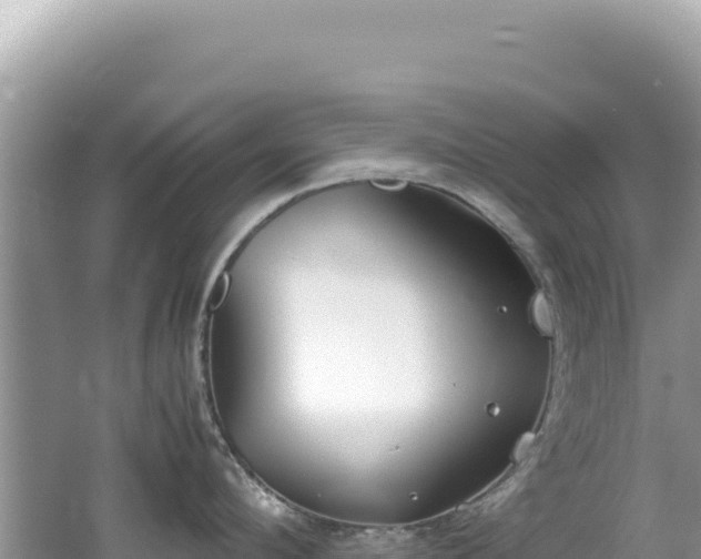 X0000062150912200512121304