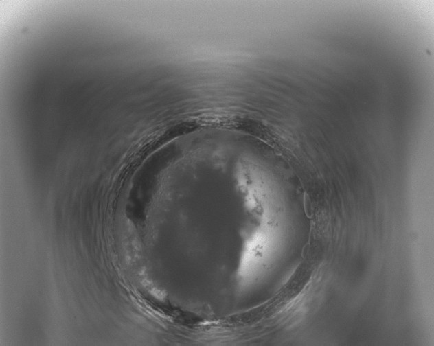 X0000062150913200512121303