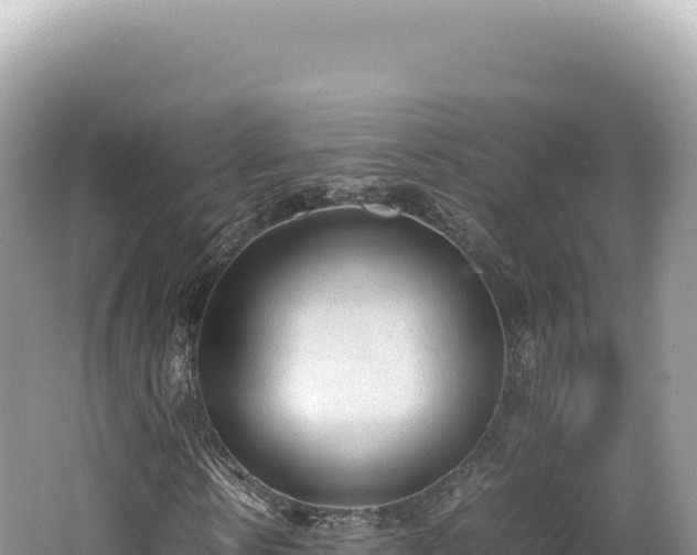 X0000062150914200512121303