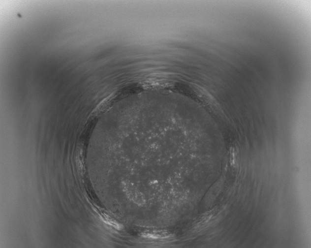 X0000062150915200512121303