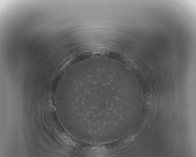 X0000062150916200512121303