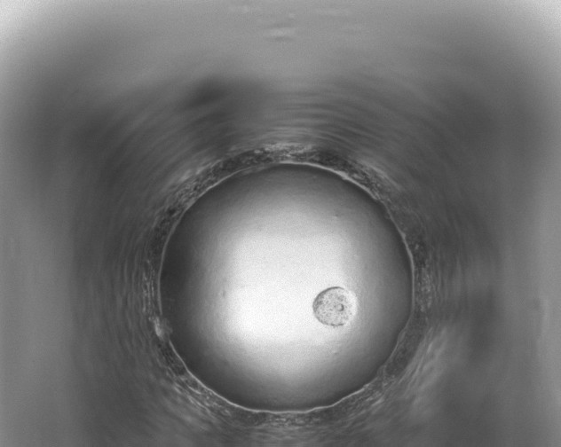 X0000062150917200512121303