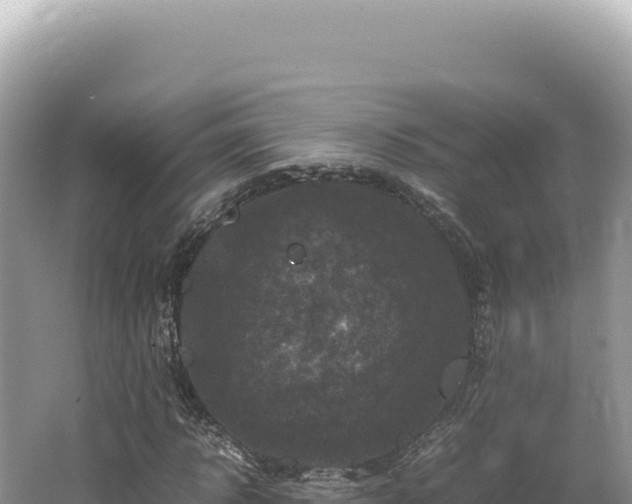 X0000062150918200512121303