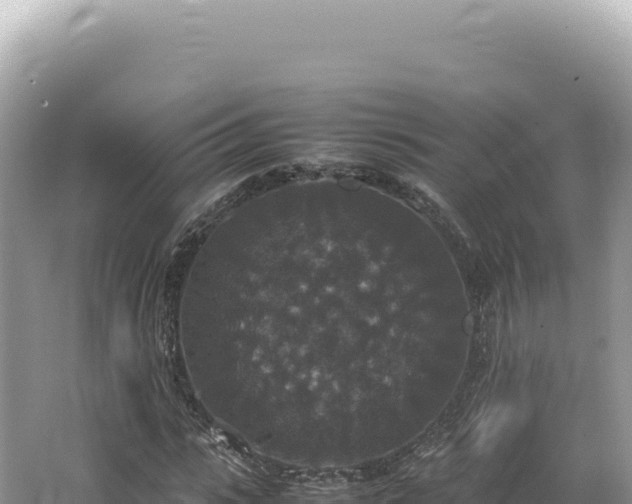 X0000062150919200512121303