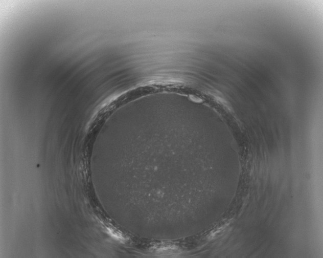 X0000062150920200512121303