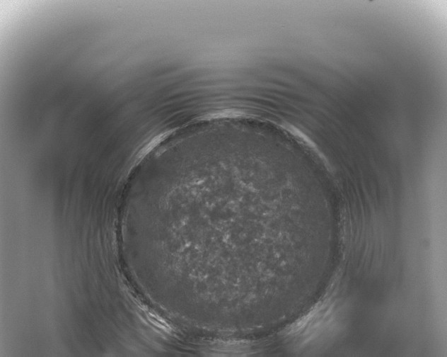 X0000062150921200512121303