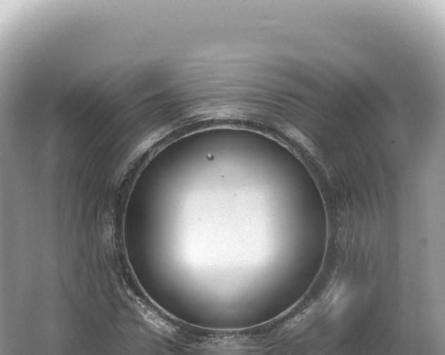 X0000062150922200512121303