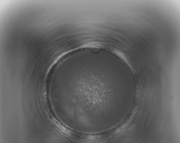 X0000062150923200512121303