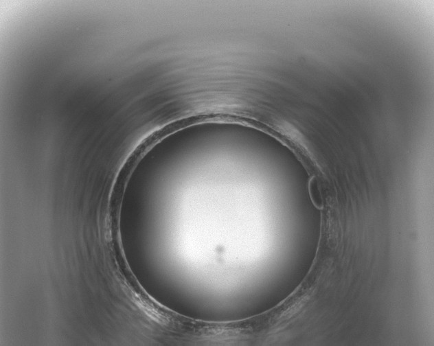 X0000062150924200512121303