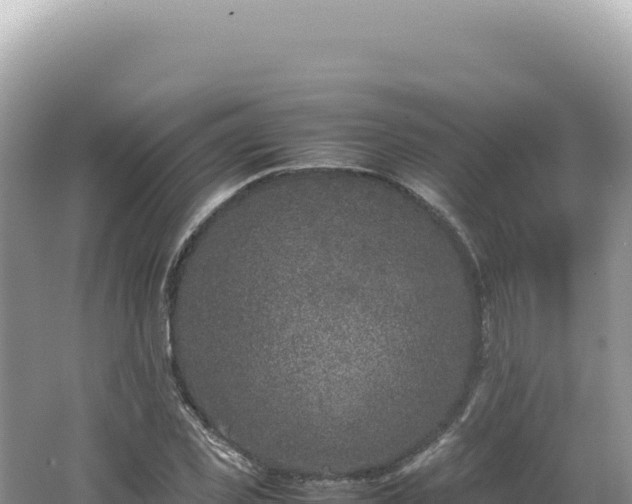 X0000062150925200512121303