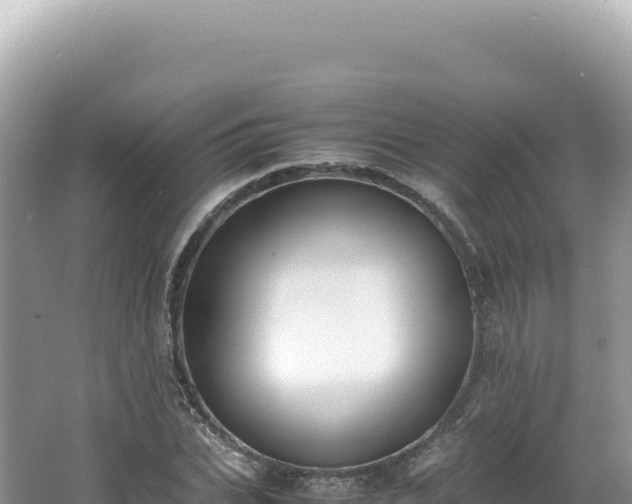 X0000062150927200512121303