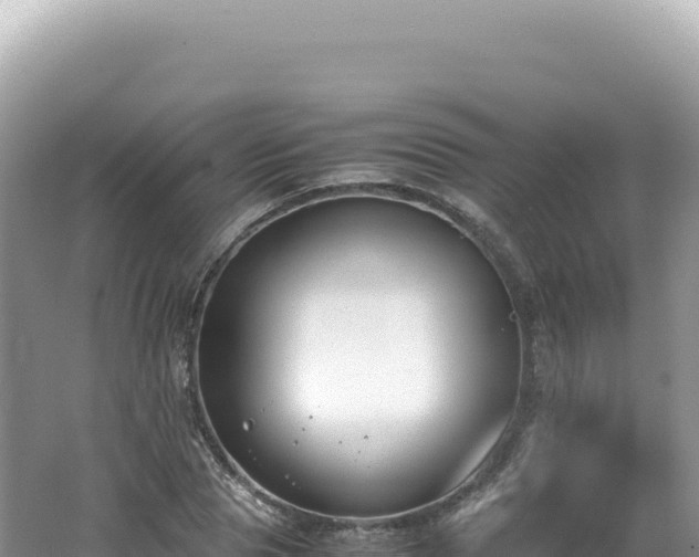 X0000062150929200512121303