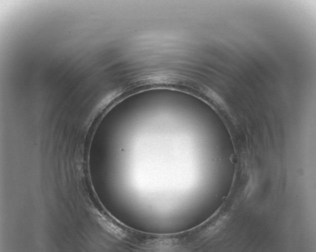 X0000062150930200512121304