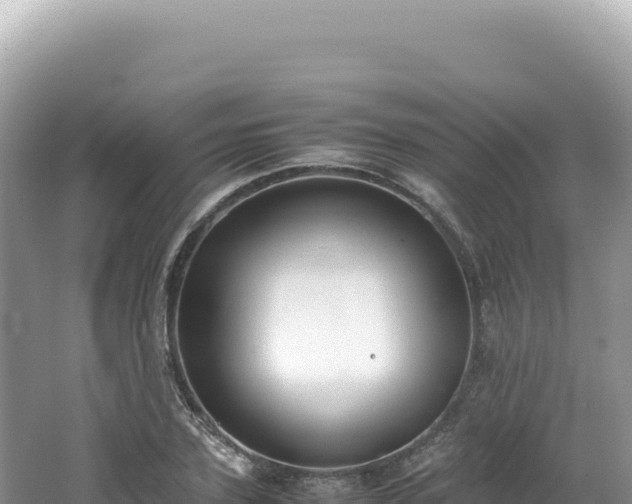 X0000062150931200512121304