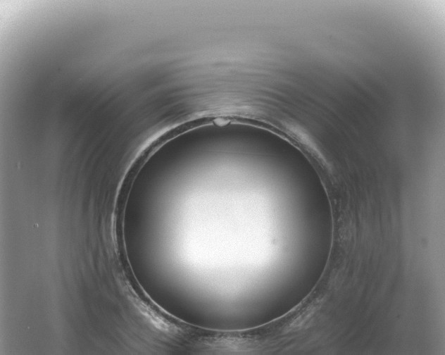 X0000062150932200512121304