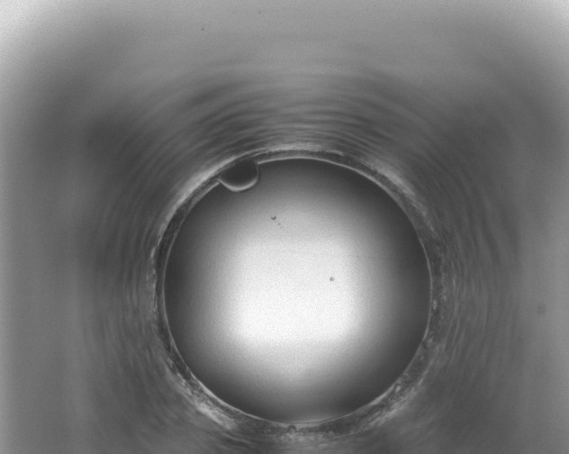 X0000062150933200512121304