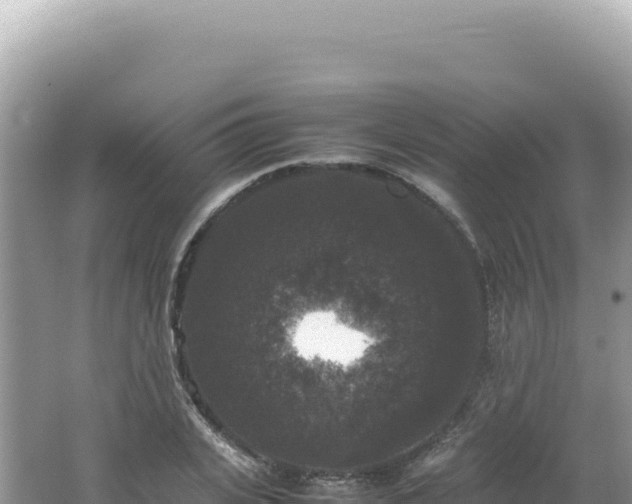 X0000062150935200512121304