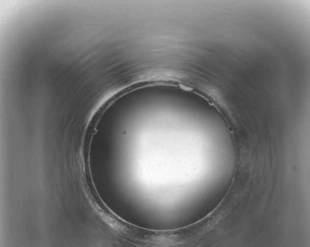 X0000062150936200512121304