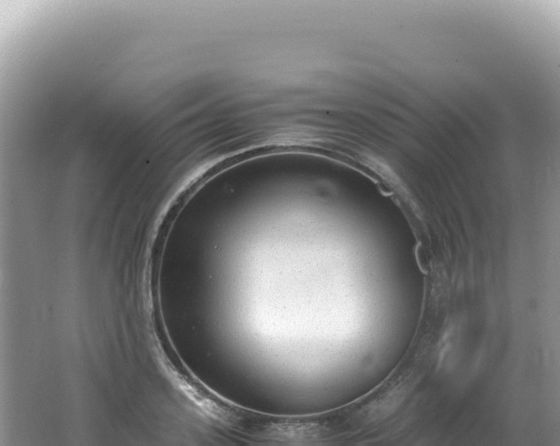 X0000062150939200512121304