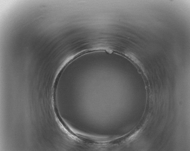 X0000062150941200512121304