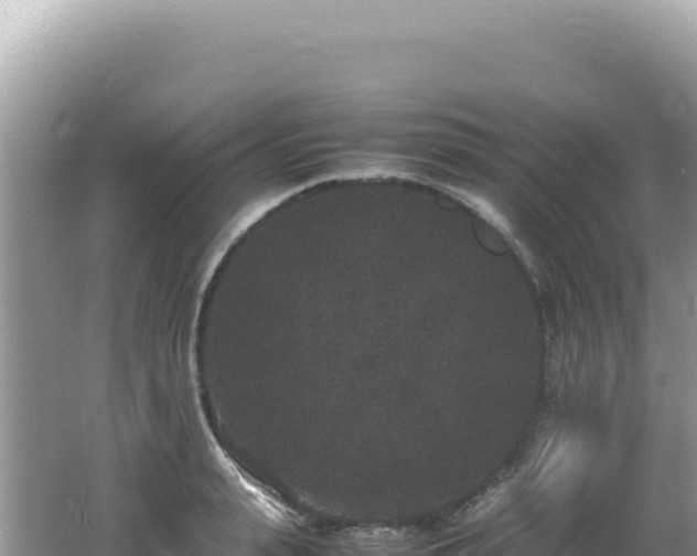 X0000062150943200512121304