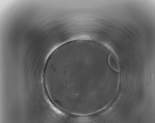 X0000062150944200512121304