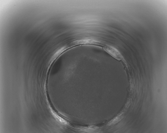 X0000062150946200512121304