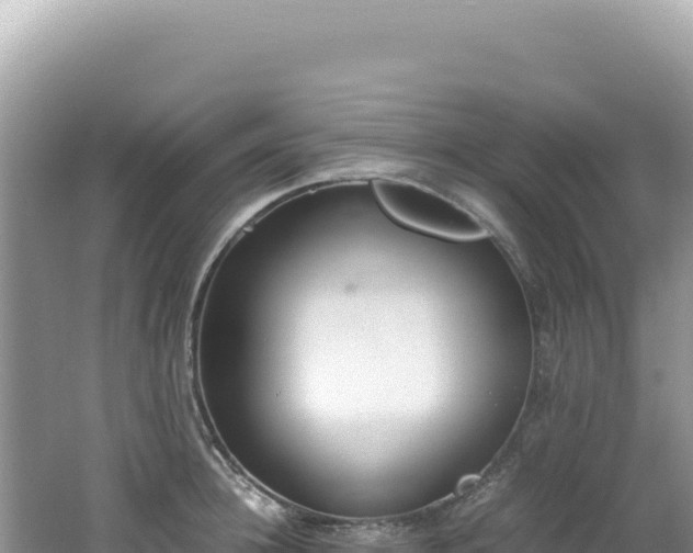 X0000062150948200512121304