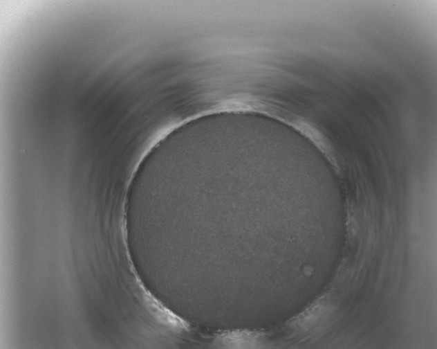 X0000062150950200512121304