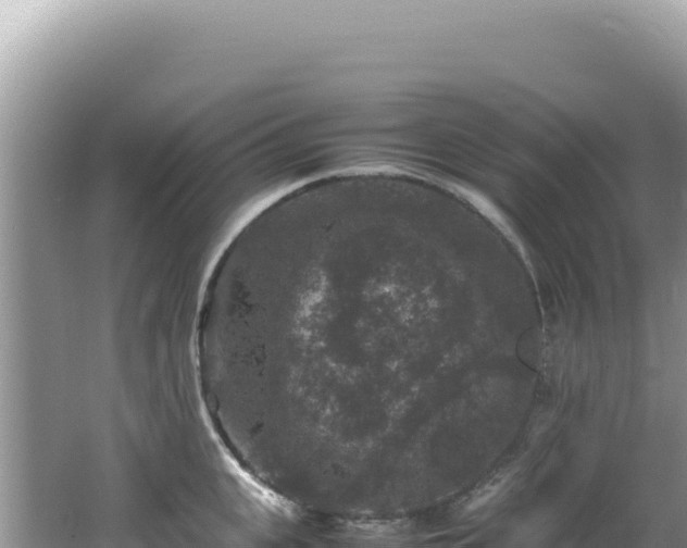 X0000062150951200512121304