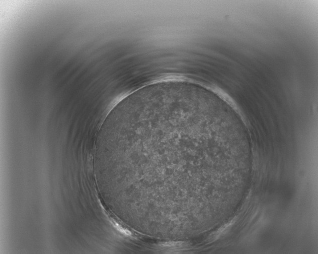 X0000062150953200512121304