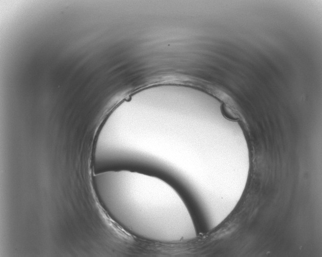 X0000062150954200512121304