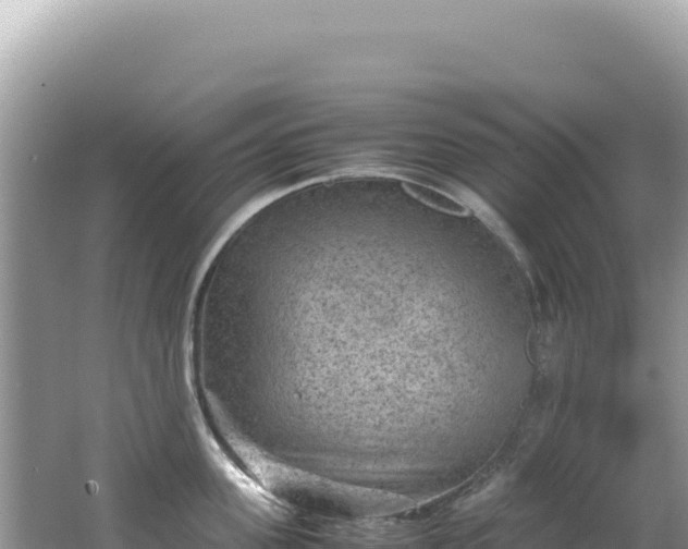 X0000062150955200512121304