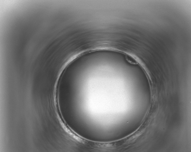 X0000062150957200512121304