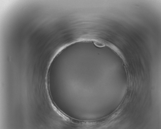 X0000062150958200512121304